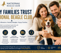 trusted Beagle breeders