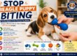 Stop Beagle Puppy Biting